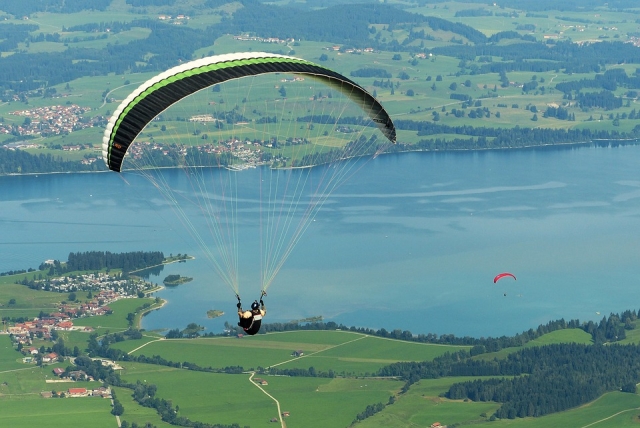  Parapenle 1644990960720 