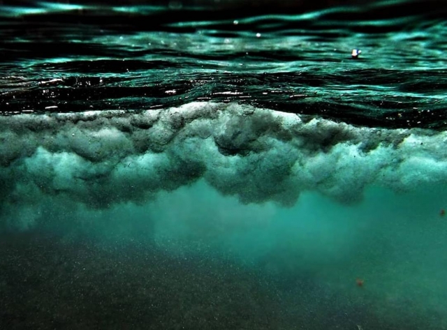  sumérjase en el mar de Campania 