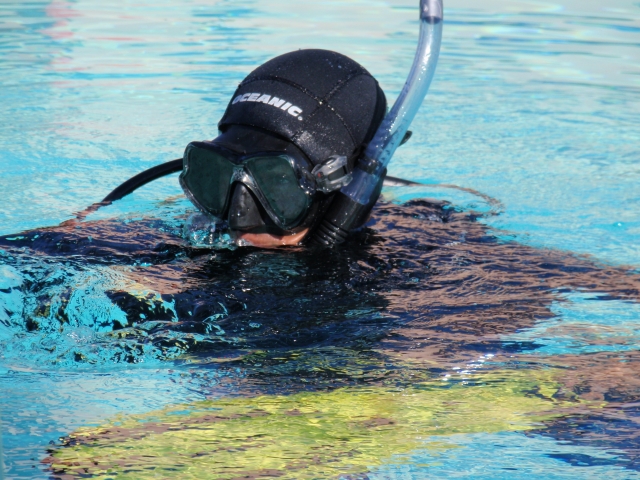  Filippo Molina Director del curso PADI
