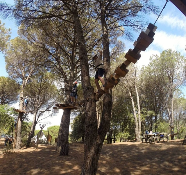  Siempre entre los árboles 