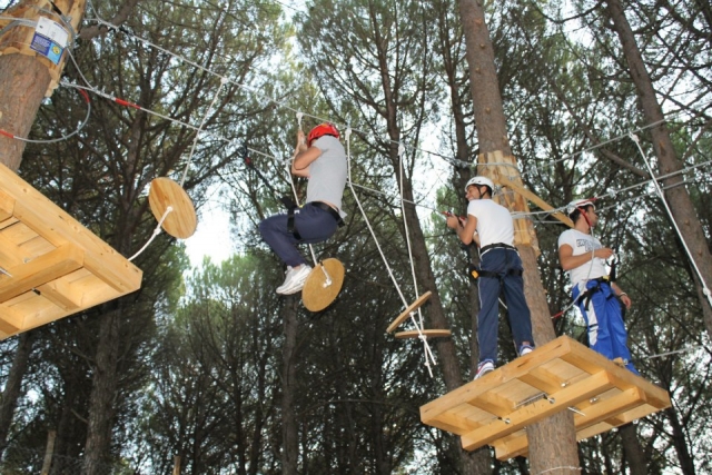 De plataforma en plataforma 
