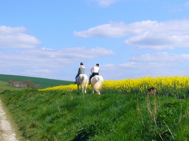  Cabalgamarras 