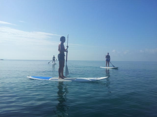  En la tabla de paddle 