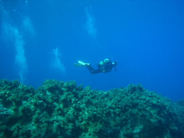  Buceo 