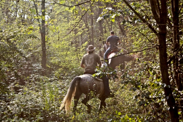 Pbaños a caballo en Monferramarro 