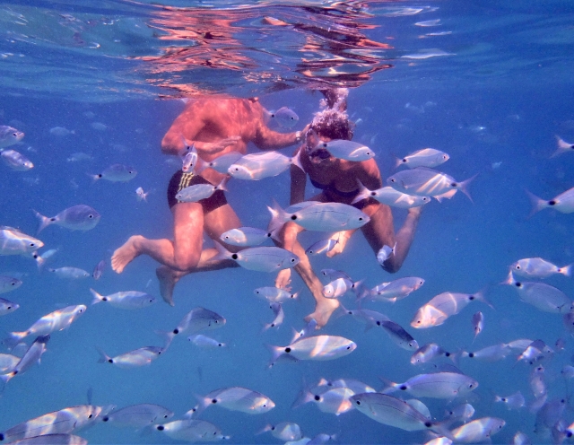  baño de peces 