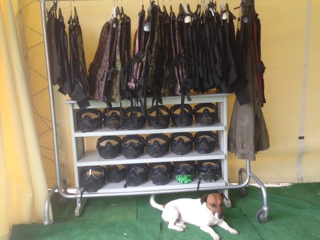  Todos los materiales 