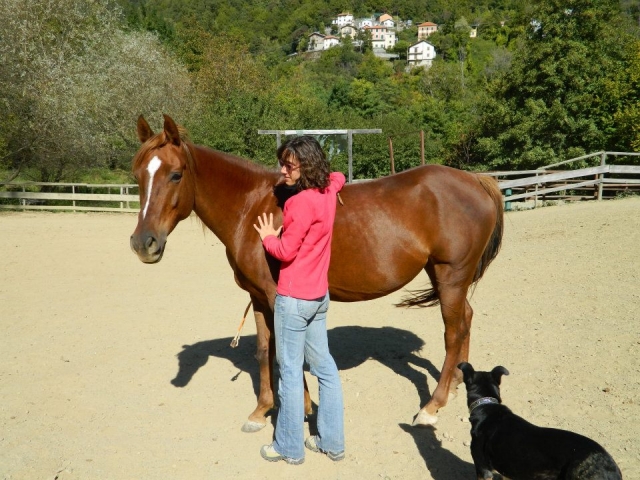  Natural Liberty Equitation 