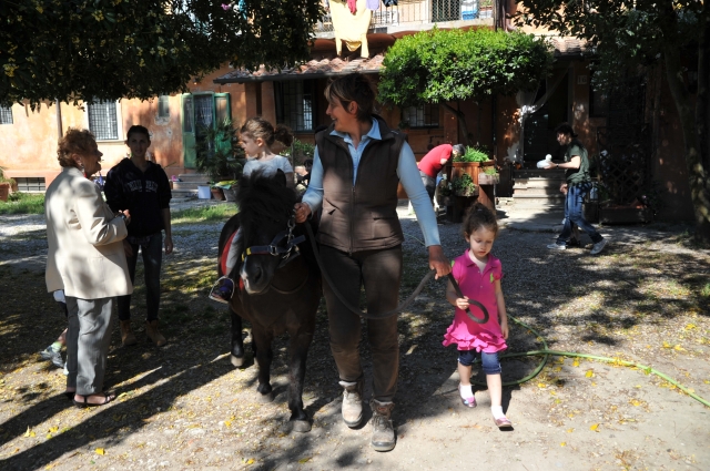  Pequeños jinetes 