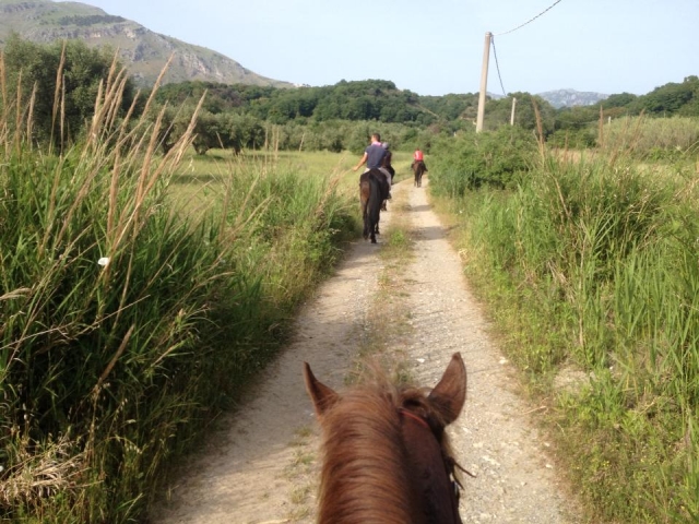  excursión por el campo 