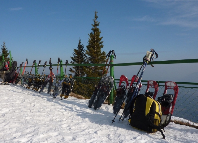  Grupo de raquetas de nieve