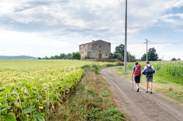  Un trozo de via Francigena 