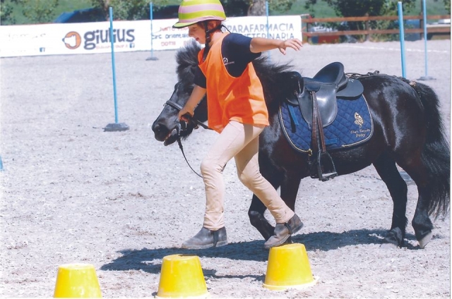  Aprendiendo a vivir con el caballo 