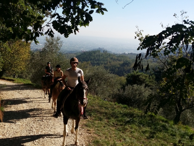  nuestros caballos 