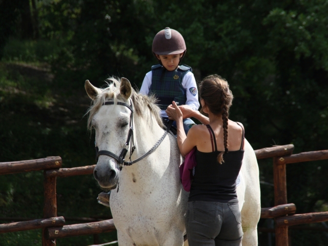  nuestros caballos 