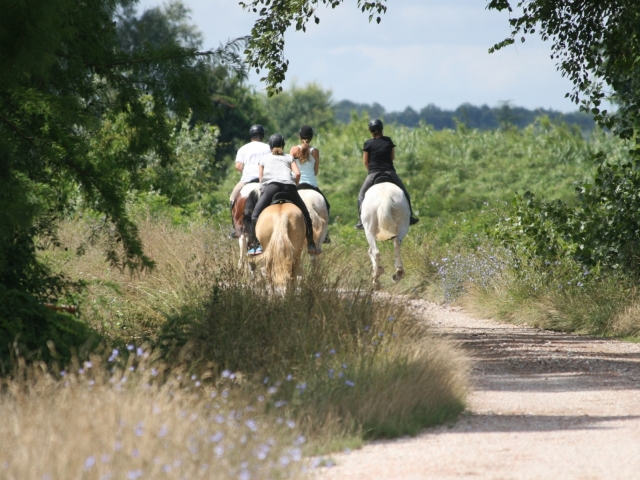  nuestros caballos 