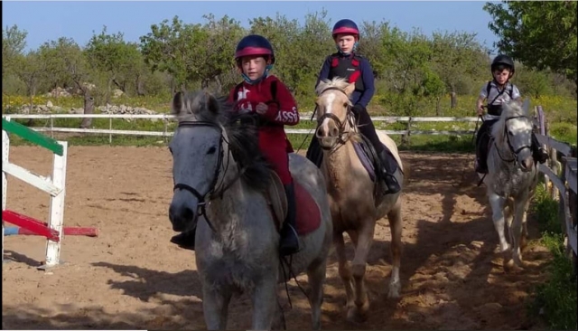  En la escuela de equitación 