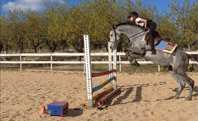  Escuela de equitación