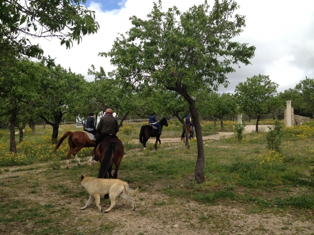 Grupo de paseo 