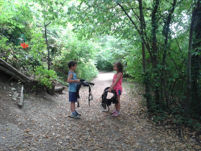  Descubriendo caballos 