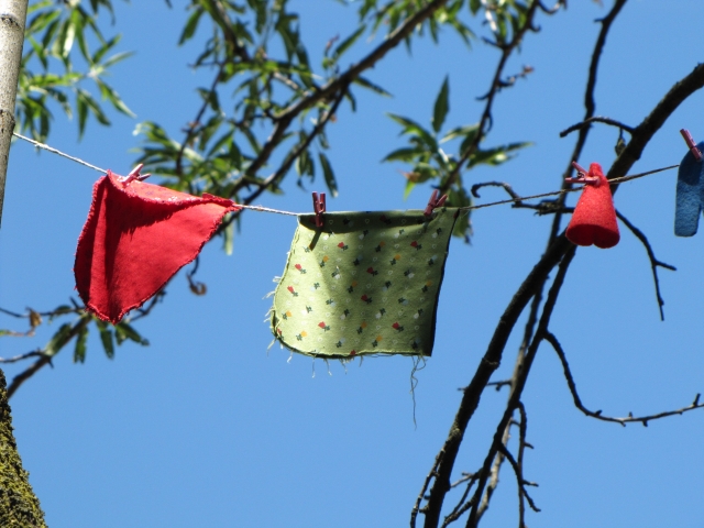 Gnomos colgando ropa 