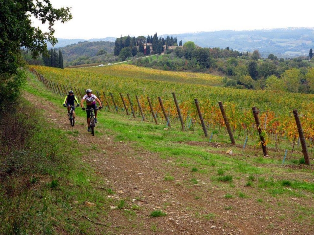  Ciclismo en otoño 