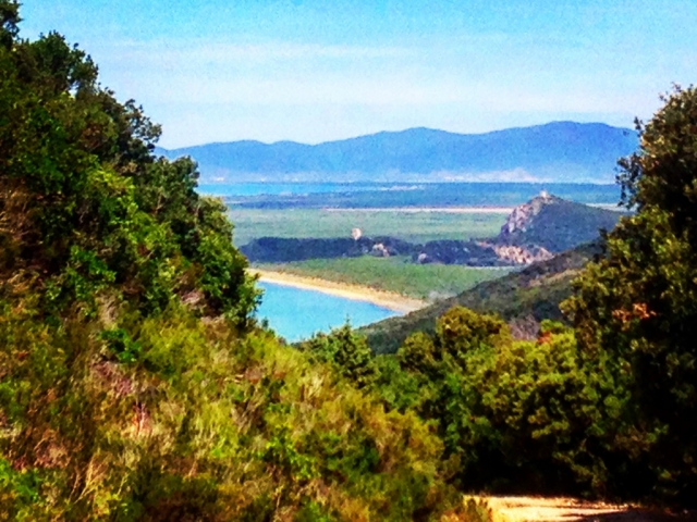  Playa de Collelungo 