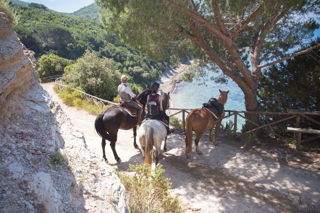  parque maremma cannelle 