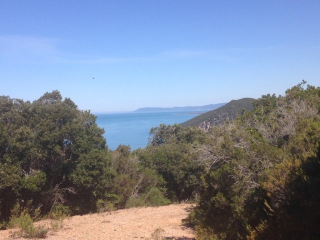  parque cannelle maremma 