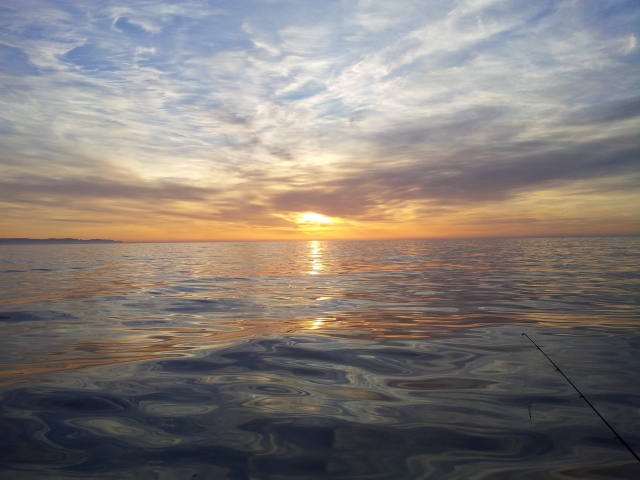  salidas de pesca en el mar de Liguria 