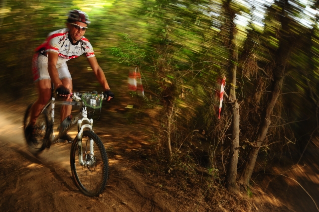 Excursiones nocturnas