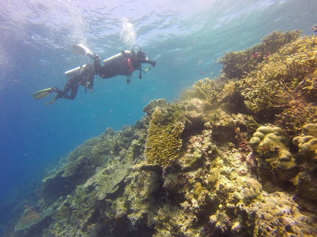  scuba