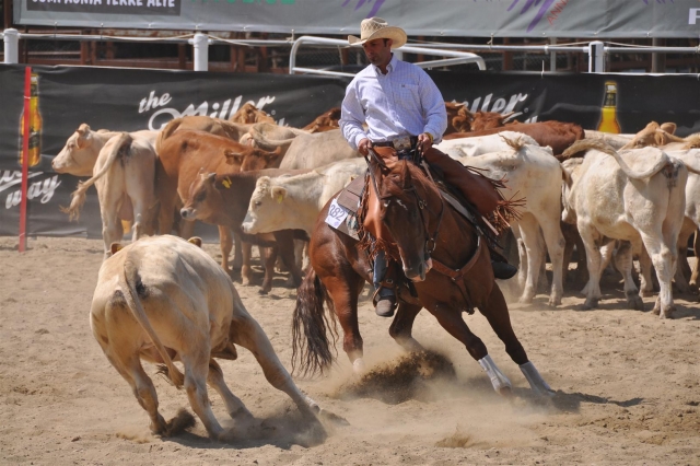  Rodeo 