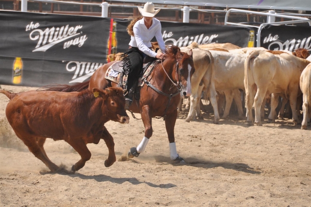  subiendo el rodeo