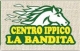 La Bandita Centro Ippico