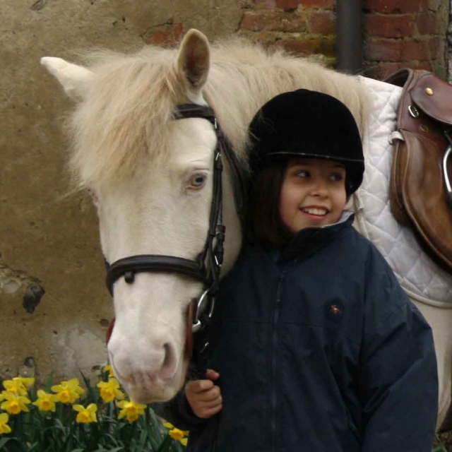  Uno de nuestros ponis, Isabella 