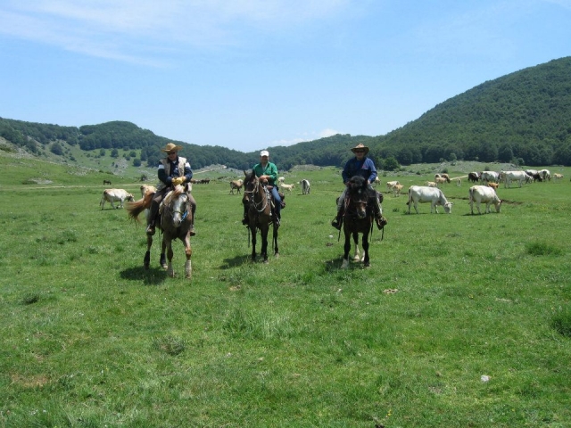  Trekking a caballo en el Valle del Río 