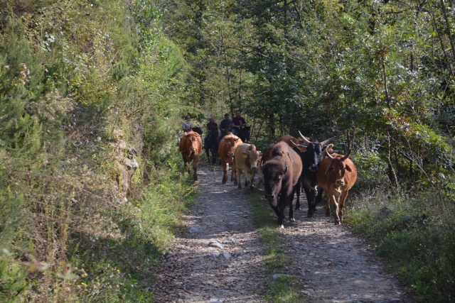  Pbaños por la naturaleza 