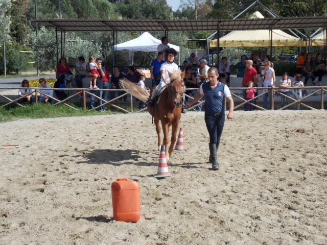 Escuela de equitación para niños 