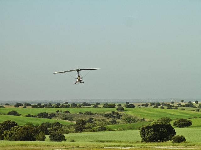  Volando sobre el verde 