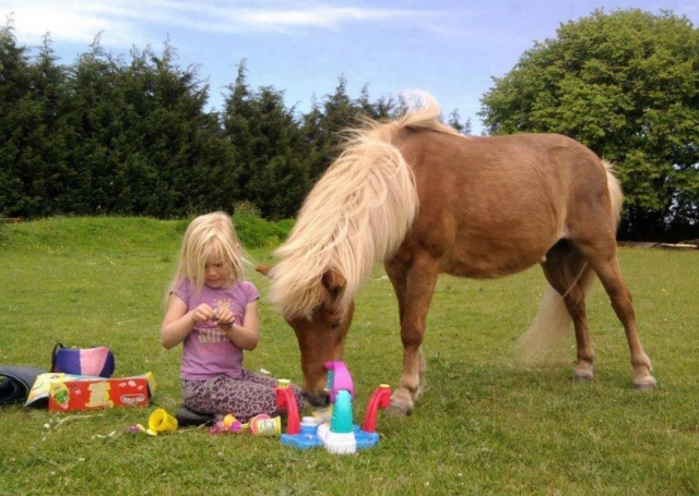  ponis y niños 