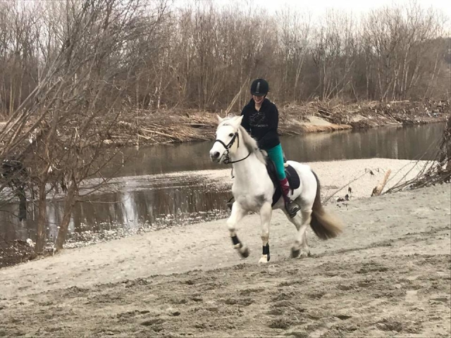  Excursión de invierno 