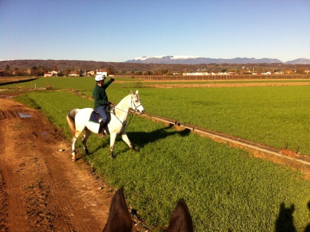 Equitación en la zona de Treviso 