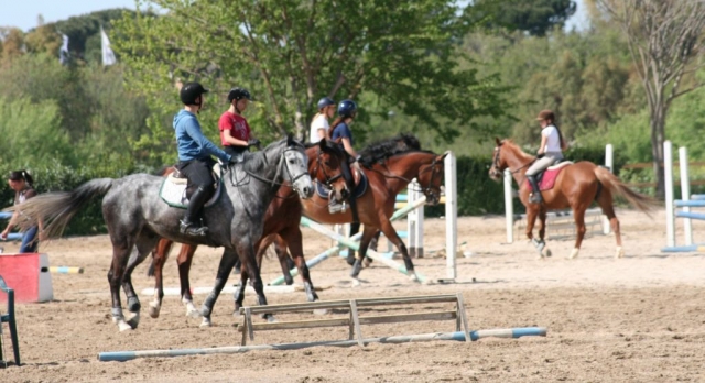  ¡Concurso de saltos! 