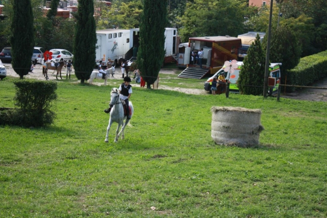  Preparación de caballos y jinetes para competiciones