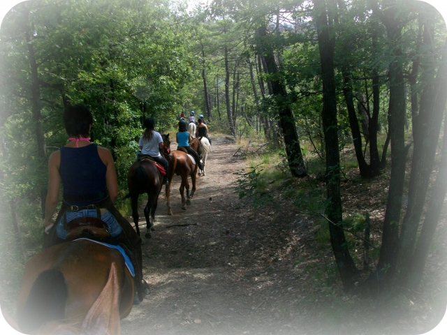  centro ecuestre le rondini 
