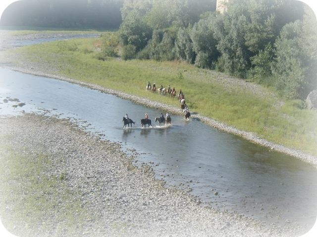  centro ecuestre le rondini 