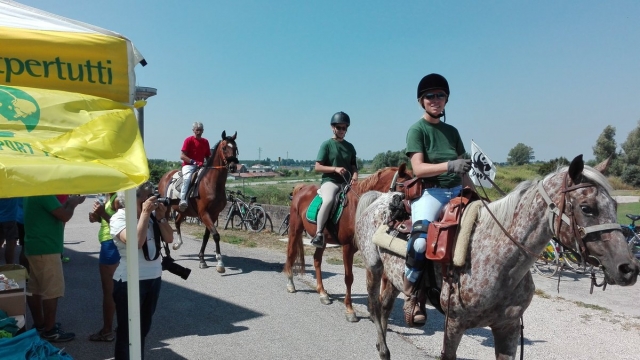  centro ecuestre le rondini 