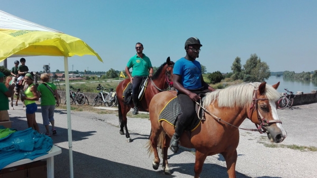  centro ecuestre le rondini
