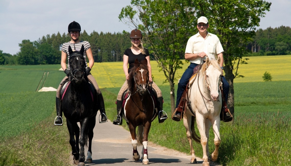  centro ecuestre le rondini 